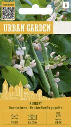 French Bean Climbing Sunset Seeds